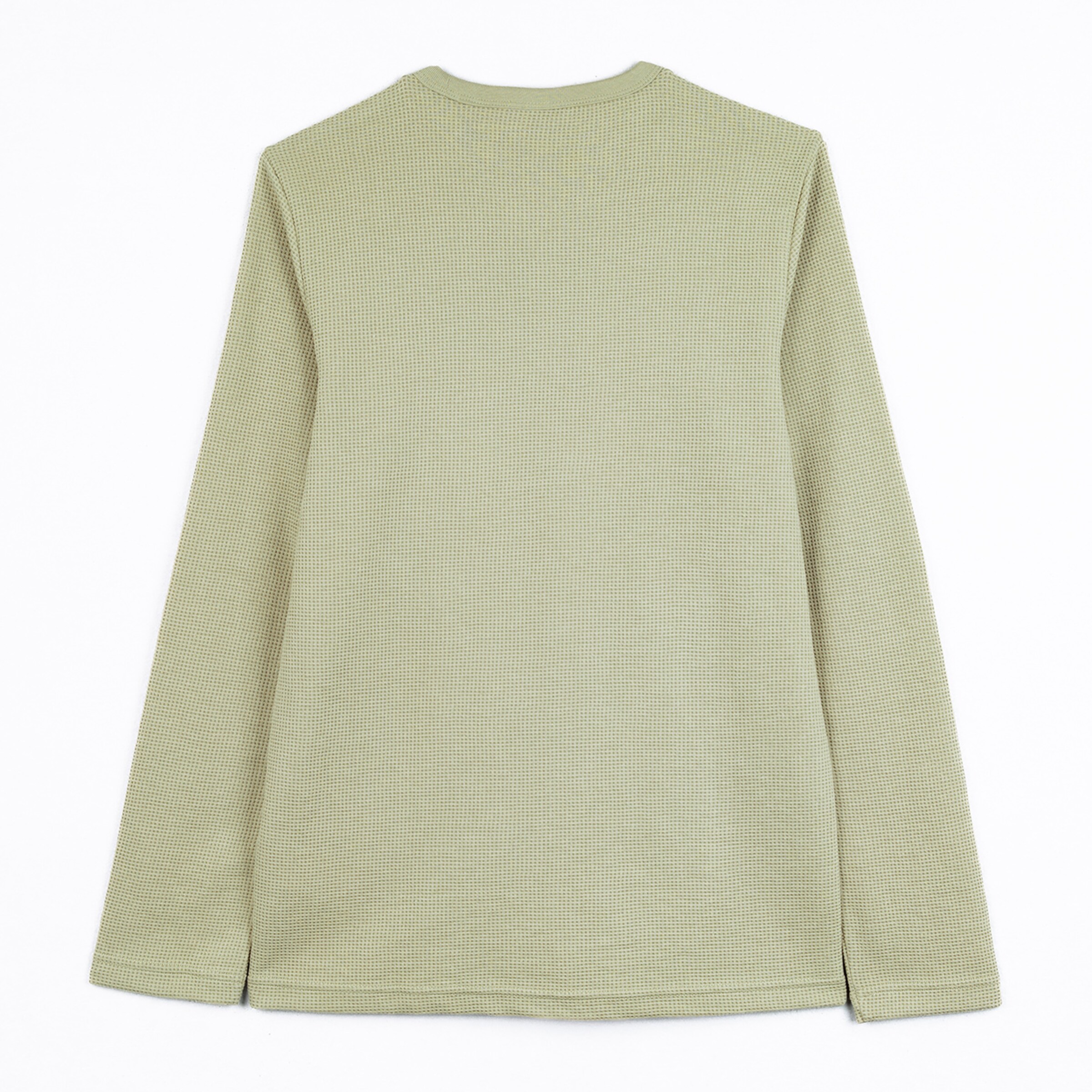 Langärmliges grün-gestreiftes Shirt von H&M Rückansicht.