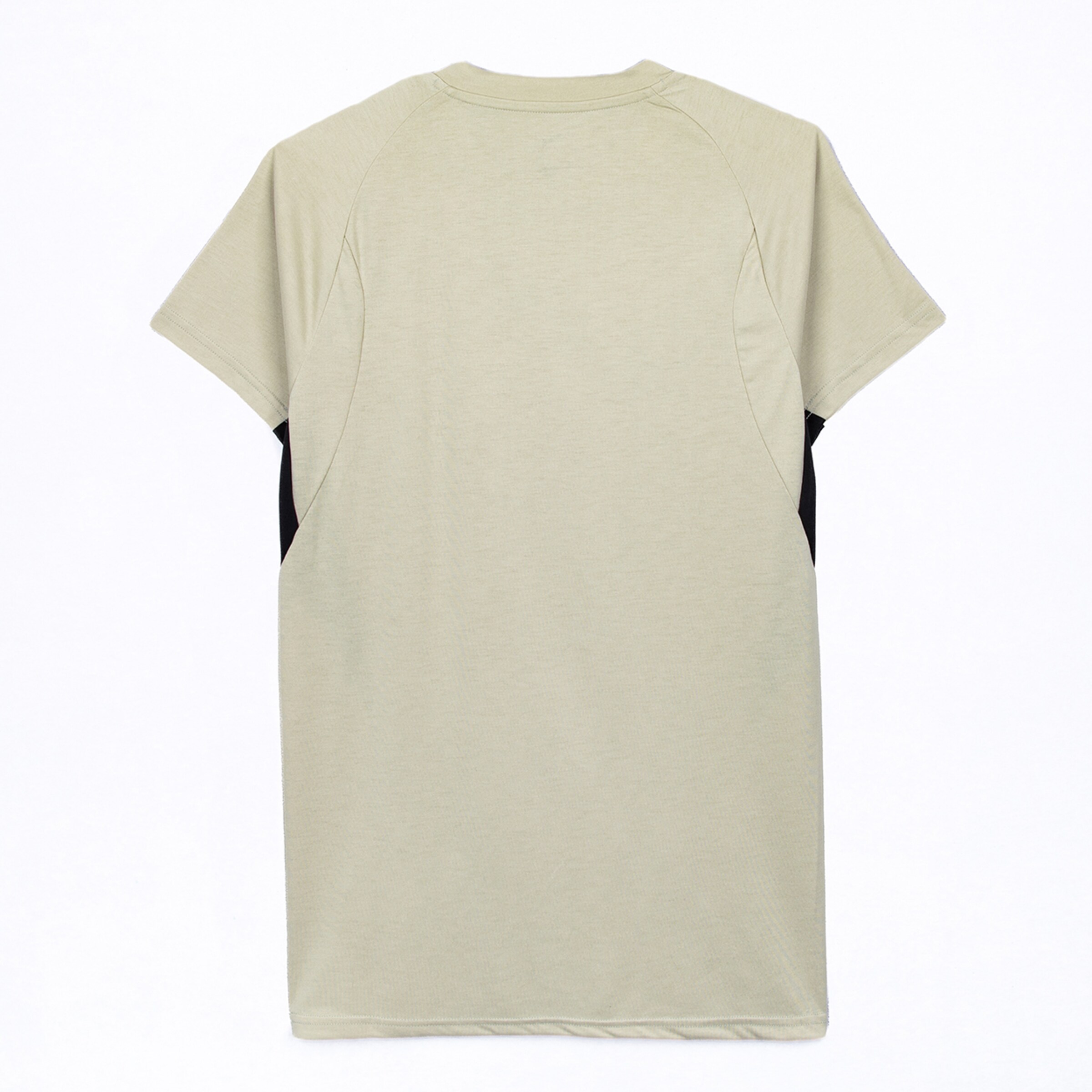 Rückansicht eines hellgrünen Kurzarm-T-Shirts mit Raglanärmeln und dunklen Seitenpartien, auf weißem Hintergrund präsentiert.