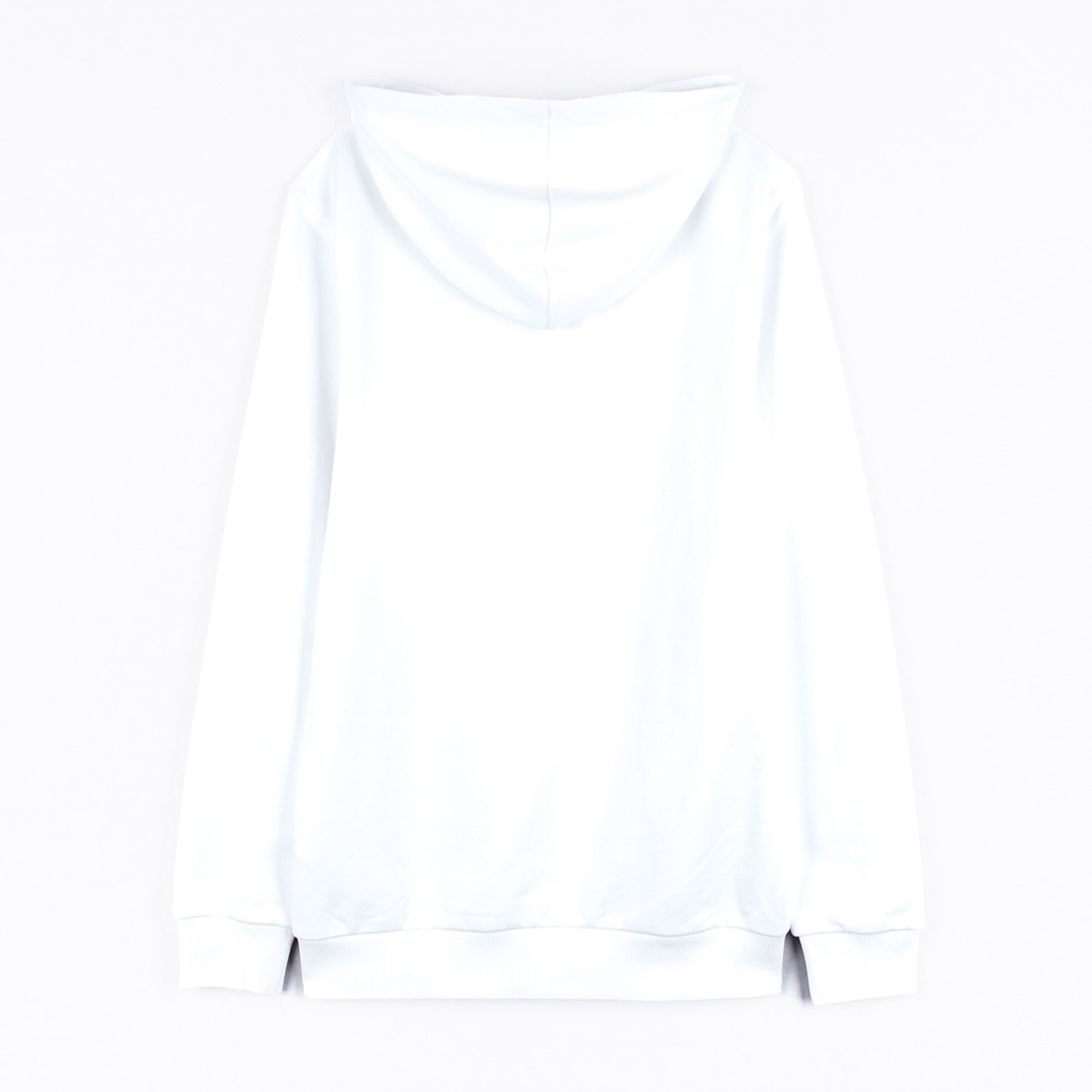 Back view of a plain white hoodie without prints.