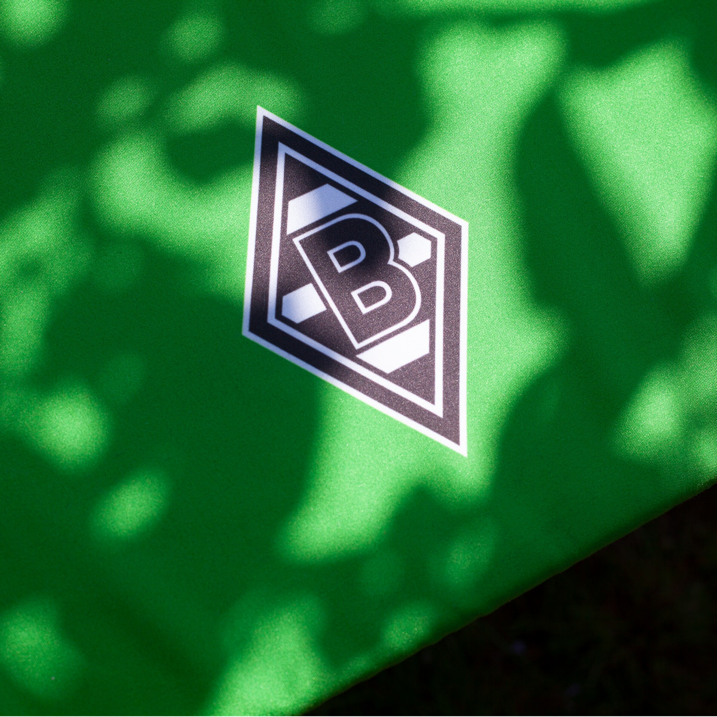 Borussia Mönchengladbach logo on a green background.