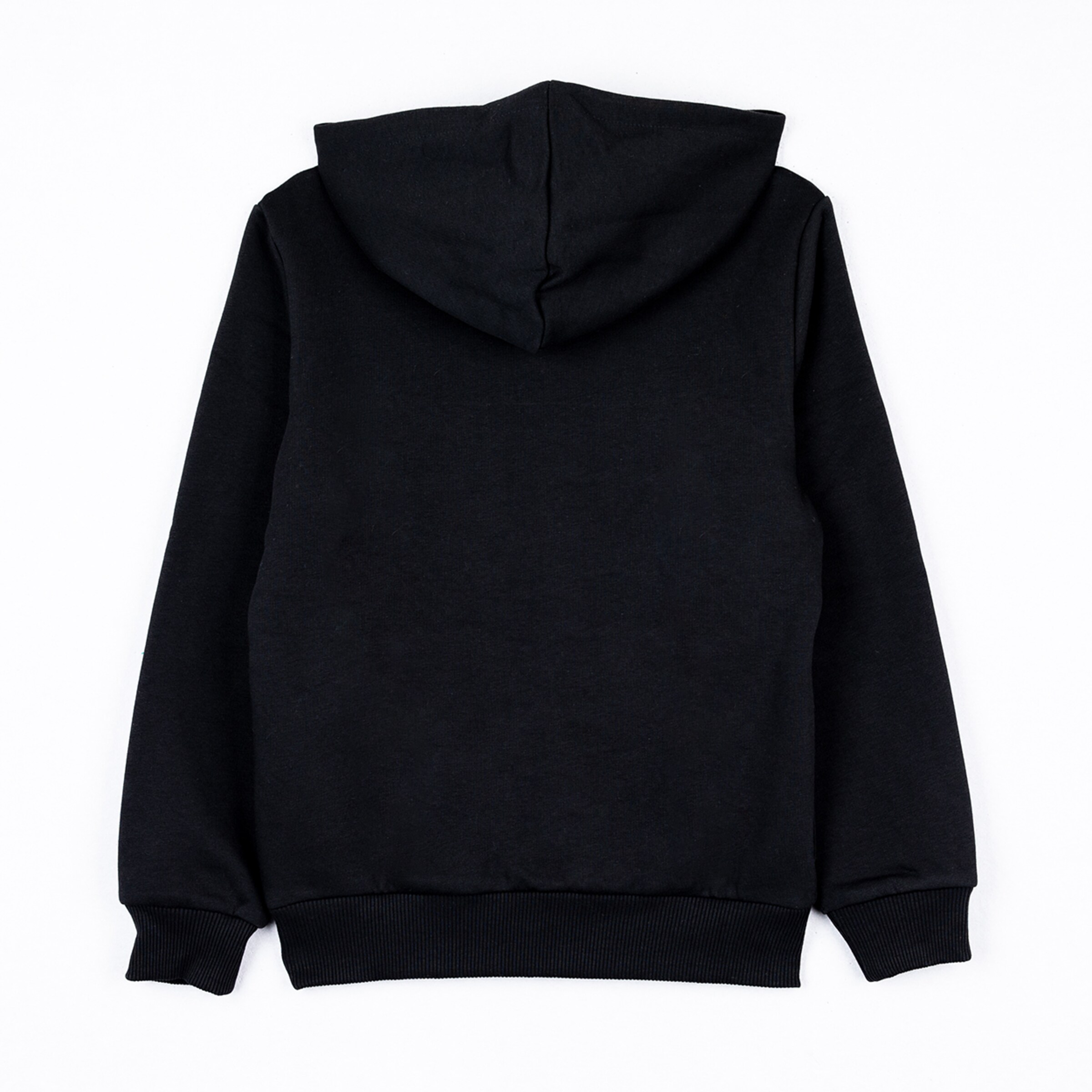 Black hooded sweatshirt back view without prints or details.