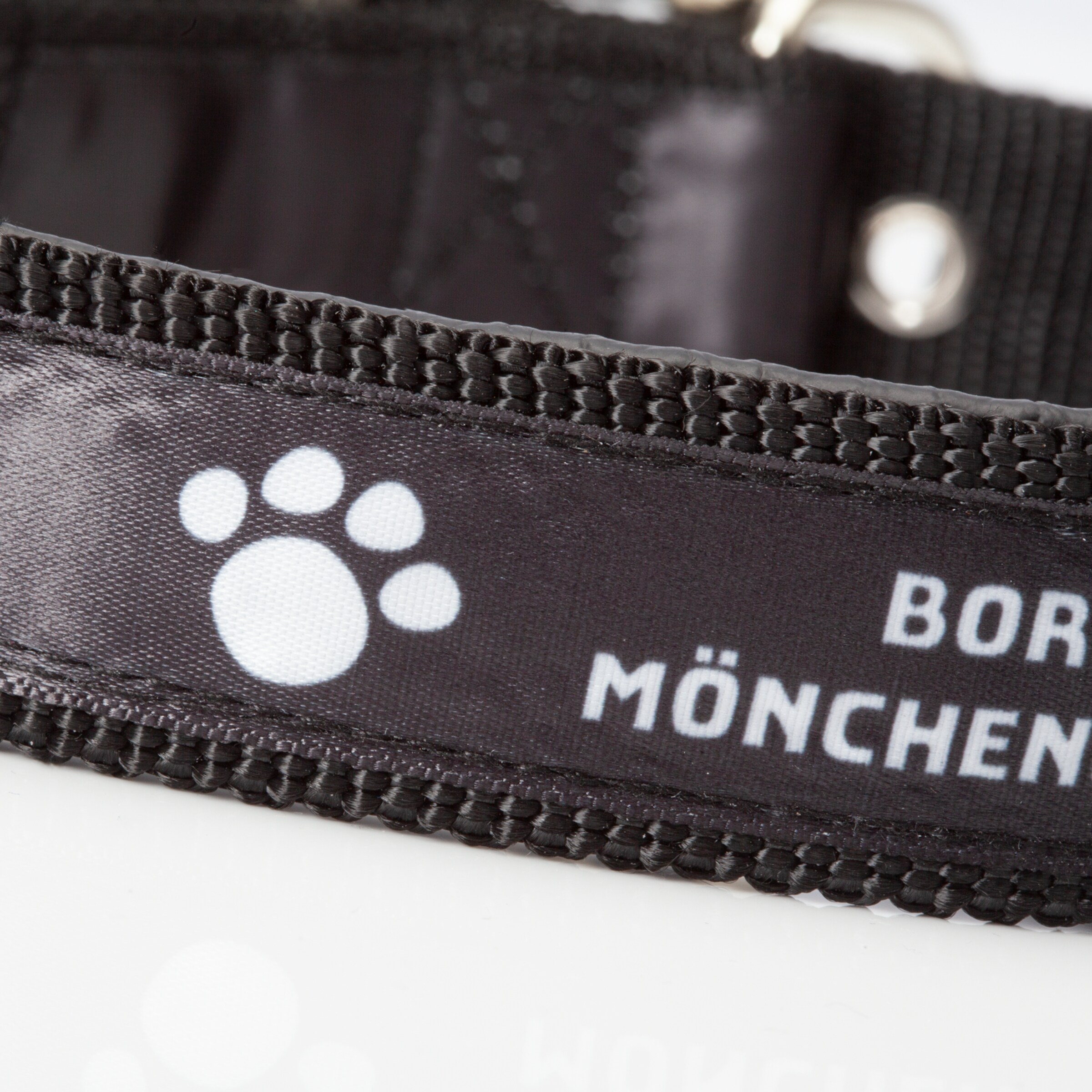 Black collar featuring Borussia Mönchengladbach and a paw print.