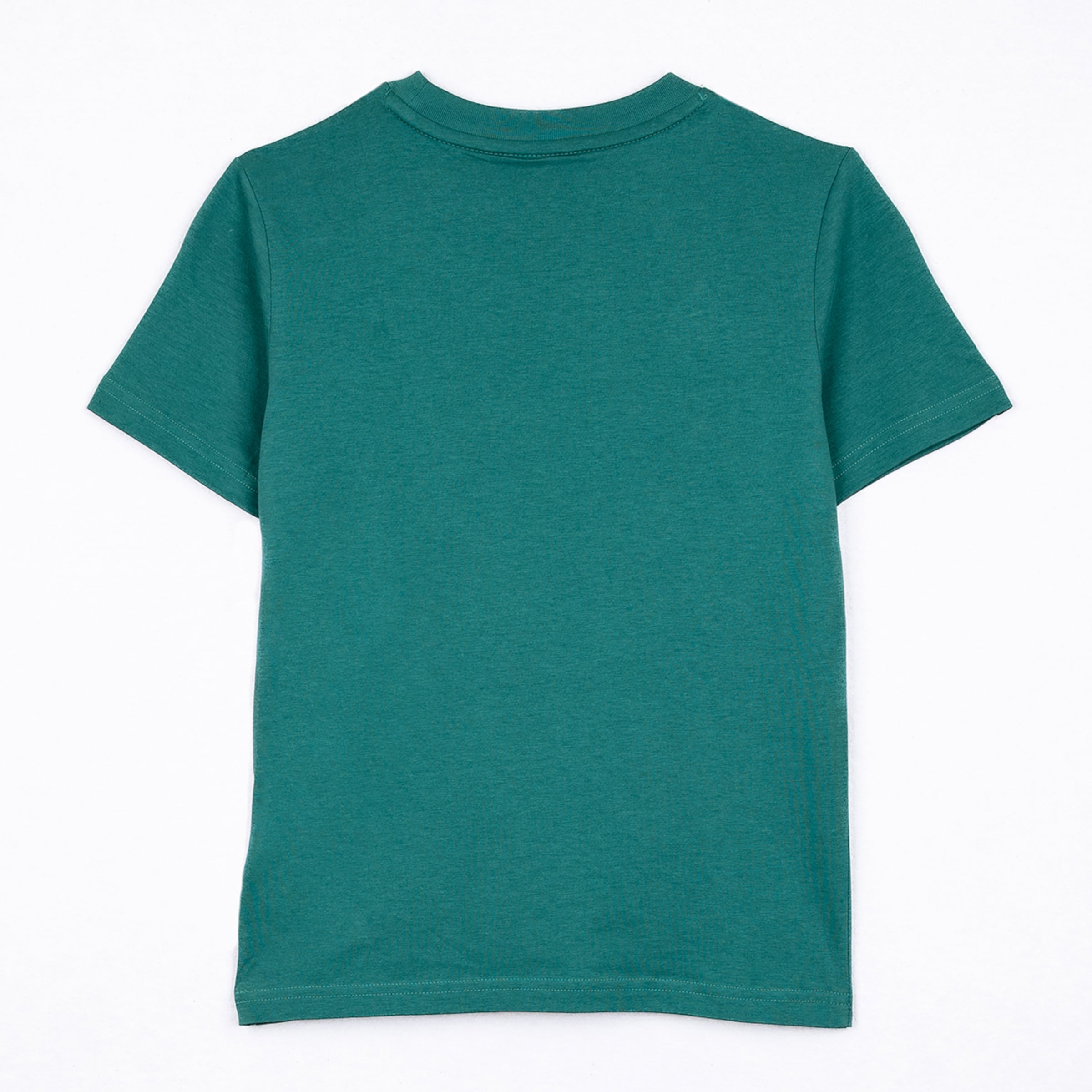 Back view of a dark green t-shirt on a white background.