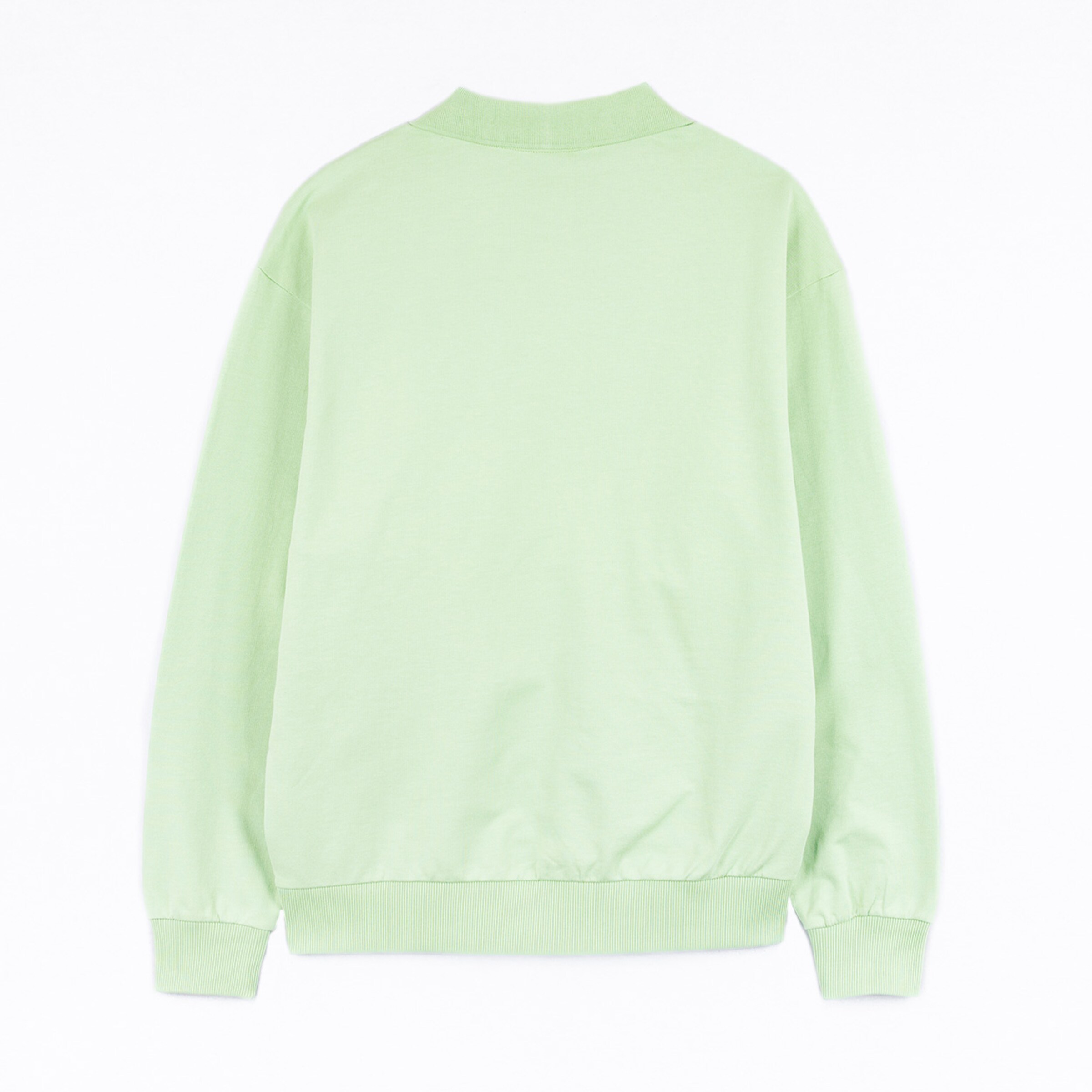 Back view of a light green sweatshirt with a round neckline and elastic hem.