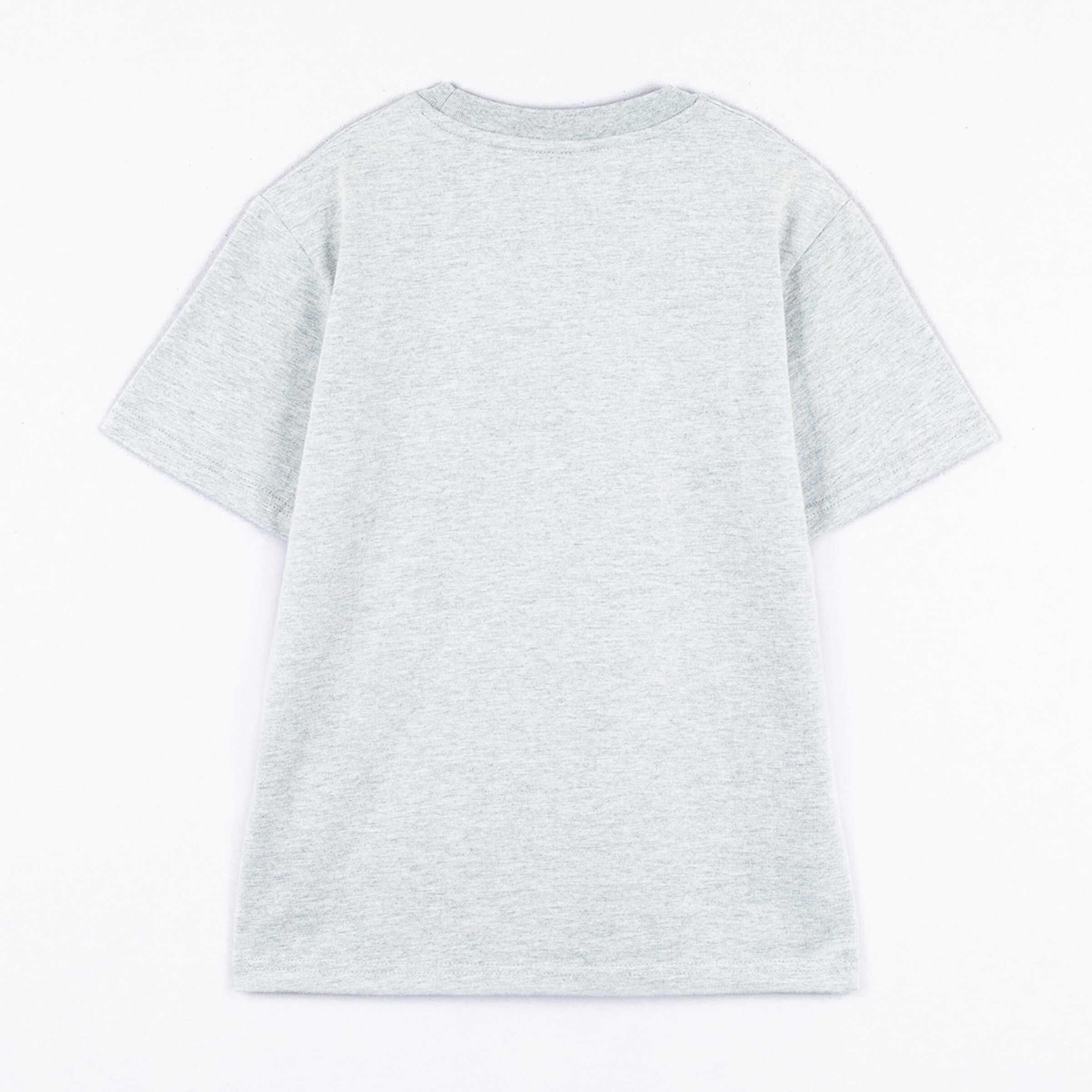 Rückansicht eines grauen T-Shirts ohne Druck.