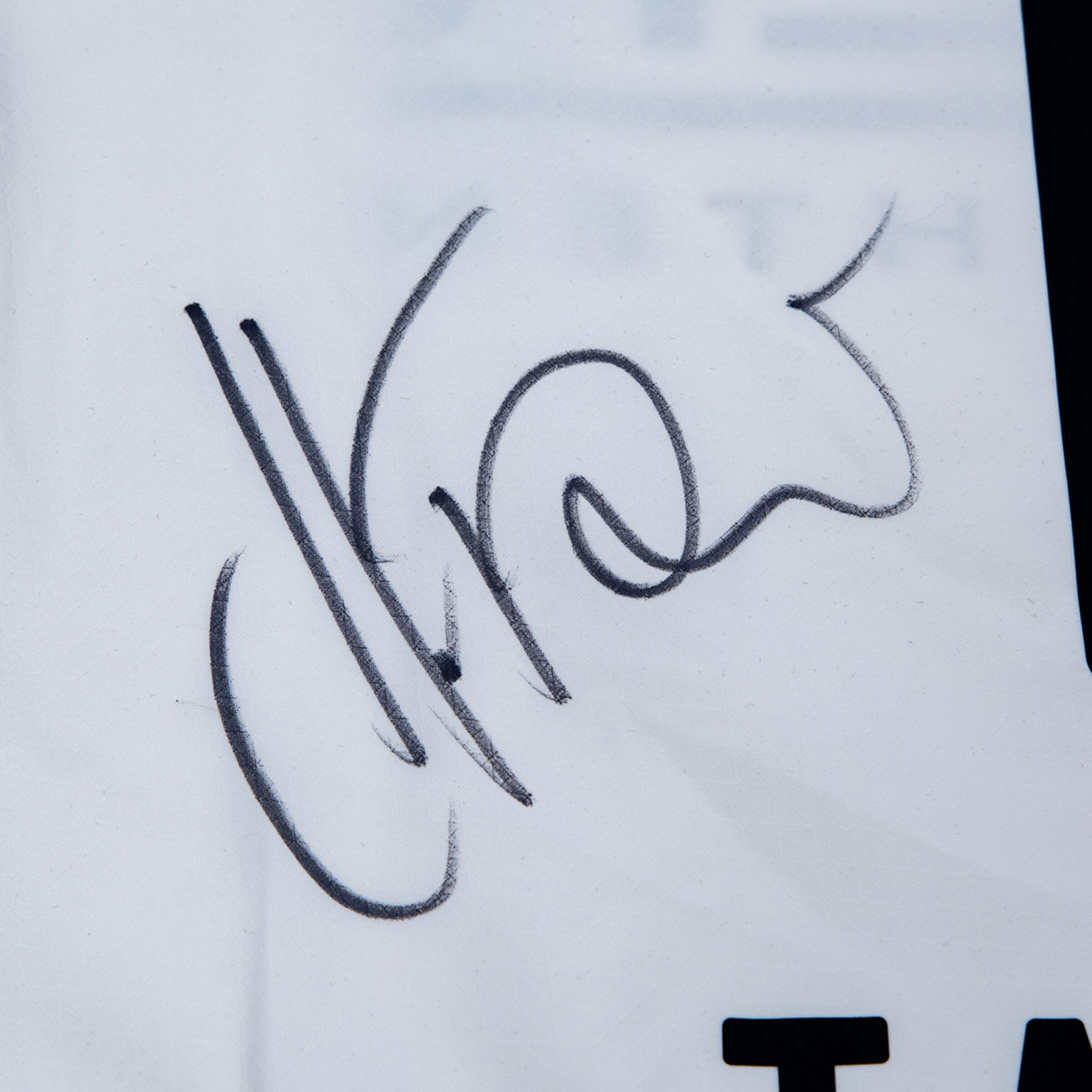 A flowing, handwritten signature in black ink on a white background.
