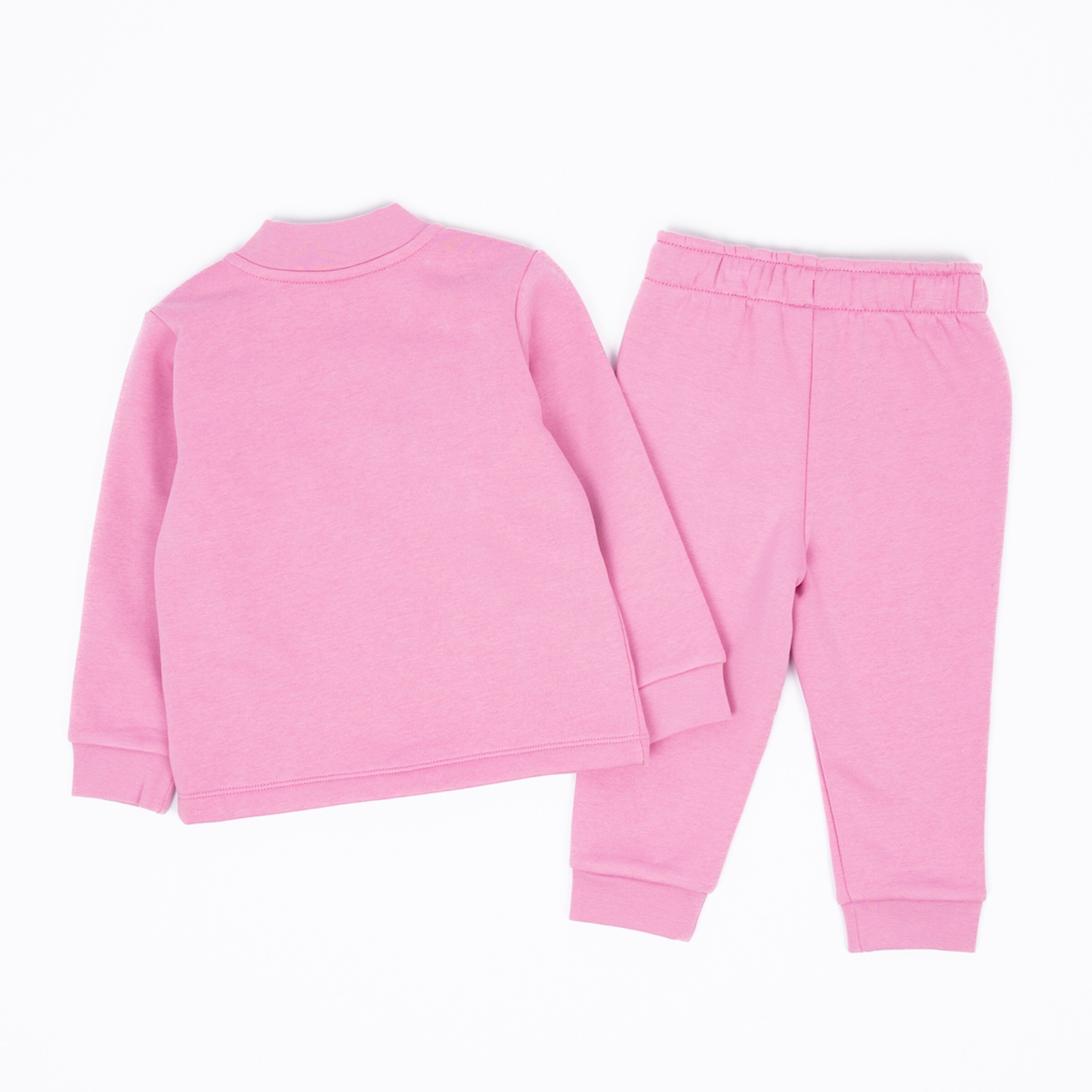 Pink sweatshirt and pants for kids back view.