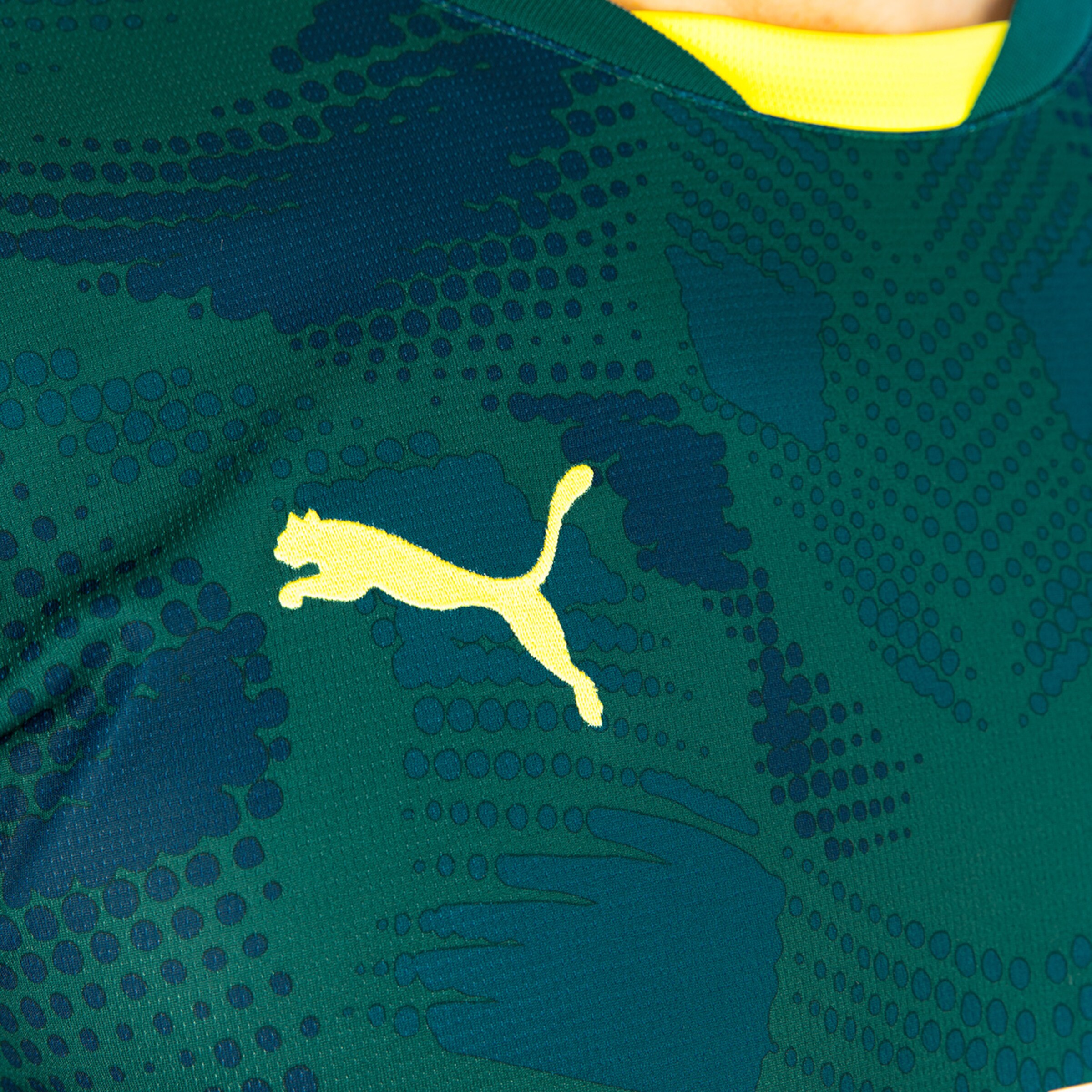 Grünes Trikot mit gelbem Puma-Logo.